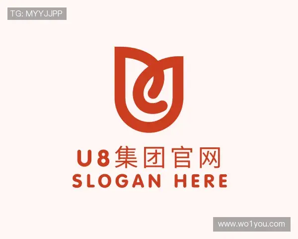 发现U8国际集团