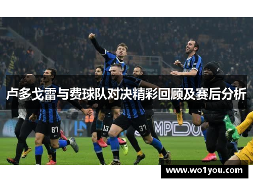 卢多戈雷与费球队对决精彩回顾及赛后分析