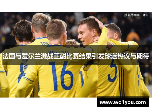 法国与爱尔兰激战正酣比赛结果引发球迷热议与期待