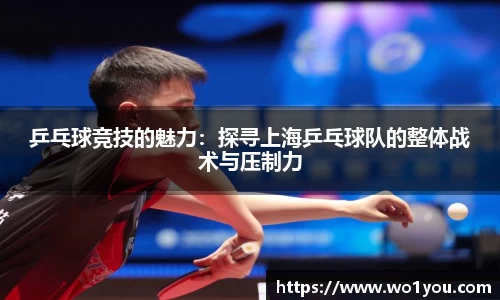 乒乓球竞技的魅力：探寻上海乒乓球队的整体战术与压制力